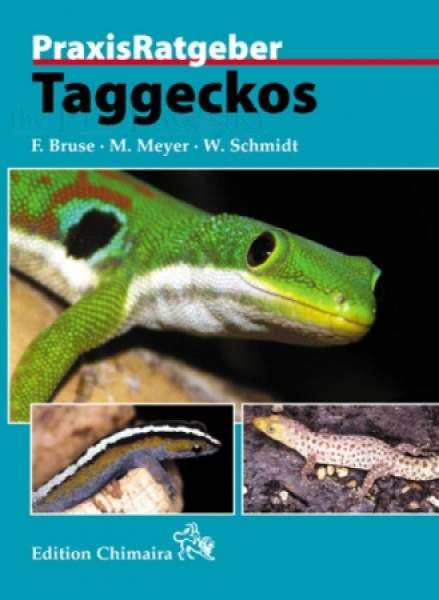 PraxisRatgeber Taggeckos